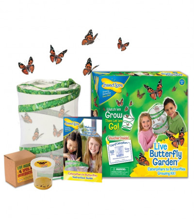 Live Butterfly Garden