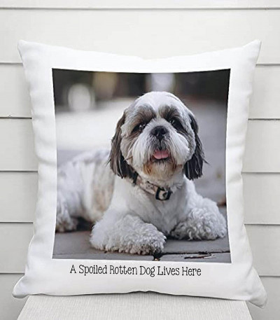 Personalised Pet Photo Cushion