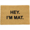 I'm Mat Doormat