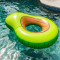 Avocado Pool Float