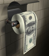 Money Toilet Roll