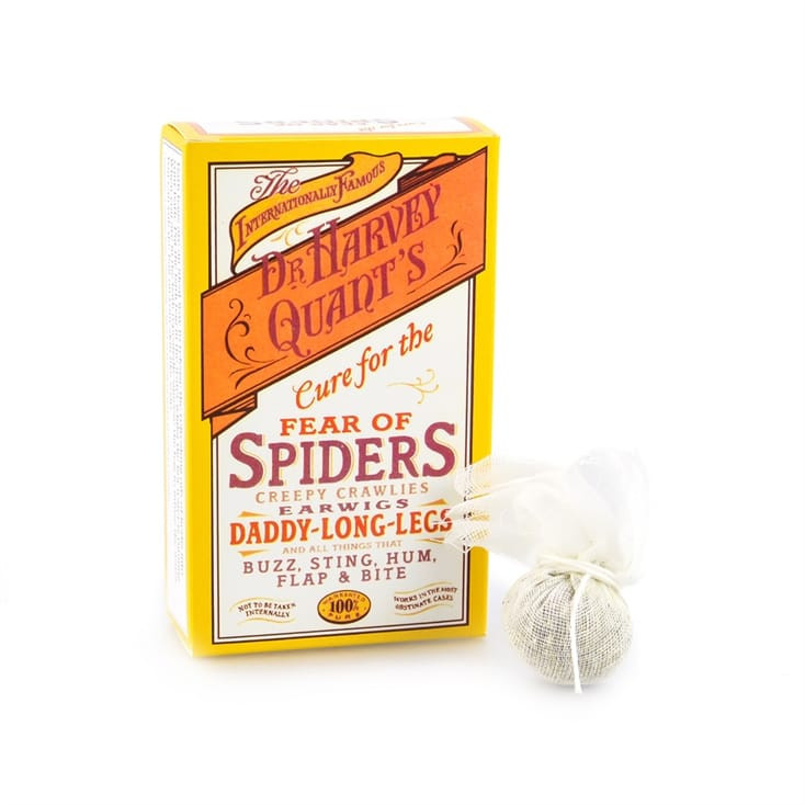 Cure For Fear Of Spiders