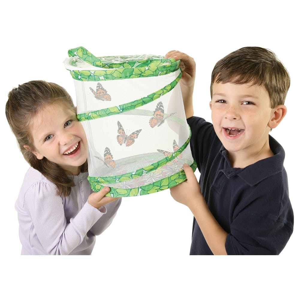 Live Butterfly Garden