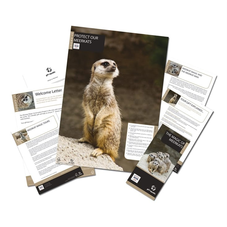 Adopt A Meerkat Gift Box