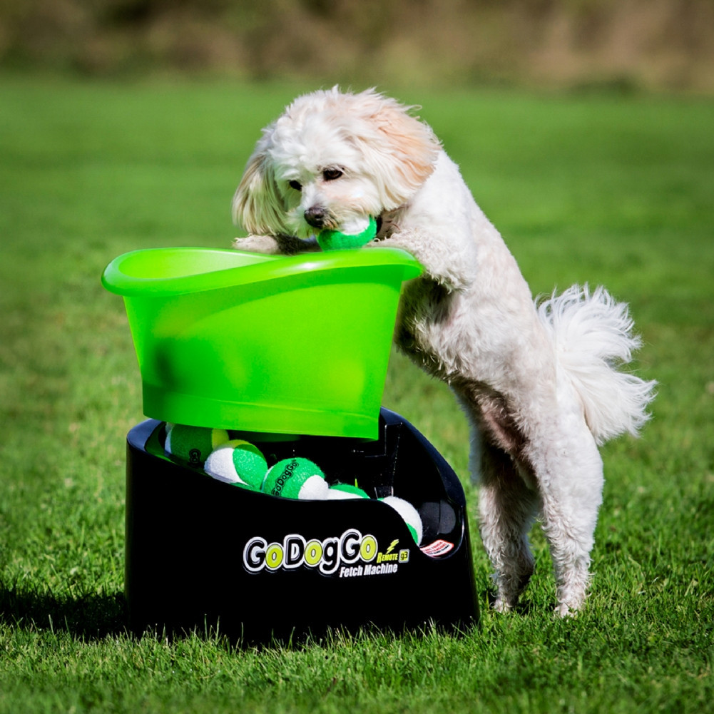 GoDogGo G4 Automatic Dog Ball Thrower