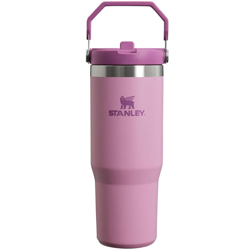 Stanley IceFlow Flip Straw Tumbler with Handle 30 oz